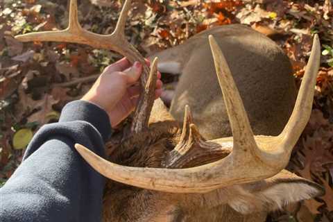 Summer Prep for Fall Bucks