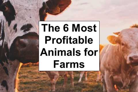 The 6 Most Profitable Animals for Small Farms