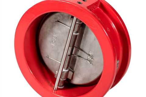 DOUBLE-DOOR CHECK VALVES - ctsolutions.mn