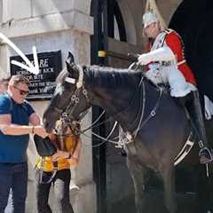 TOURIST BAG GOT STUCK in Horse''s Mouth  The King''s Guard smiled at Horse Guards in London