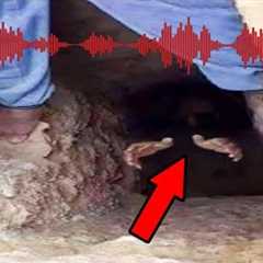 RAPTURE SIGN! Fallen Angels Found CHAINED Under Euphrates River?