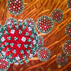 Popular Bay Area Park Closes After Experts Found Cases Of Bird Flu And Dead Animals