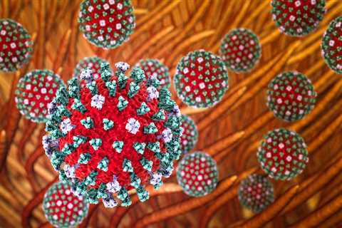 Popular Bay Area Park Closes After Experts Found Cases Of Bird Flu And Dead Animals